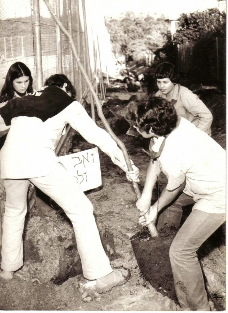 Посадка деревьев в&nbsp;честь узников Сиона. 1979&nbsp;г.